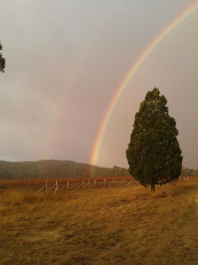 Villa Whiskey Gully Wines Stanthorpe Exterior foto