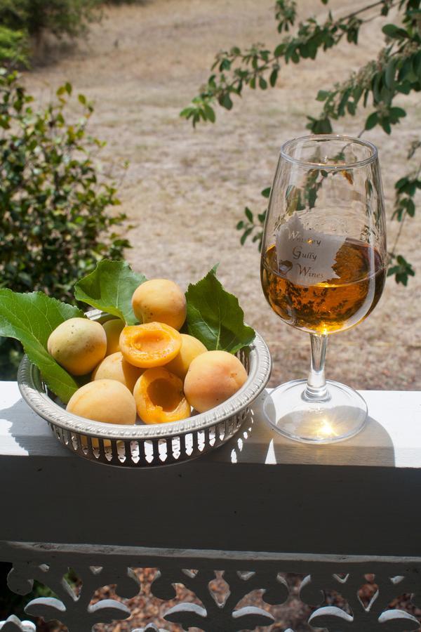 Villa Whiskey Gully Wines Stanthorpe Exterior foto